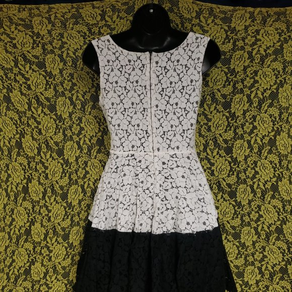Darling Girl's Lace Skater Dress Fit & Flare with Peticoat - Picture 3 of 6